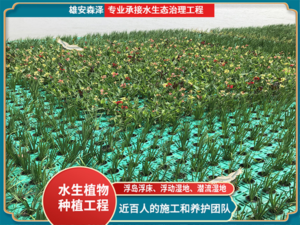 公园湖浮岛浮床工程案例