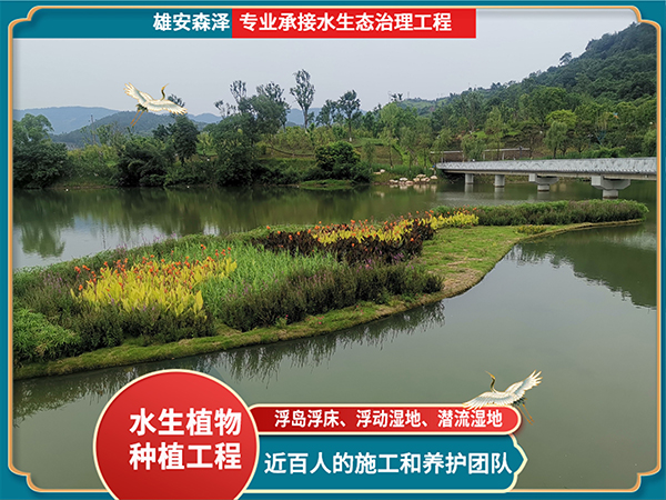 景区湖泊浮动湿地工程案例
