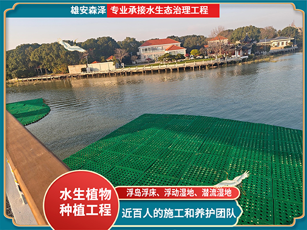 景区湖泊浮动湿地施工现场--首图1