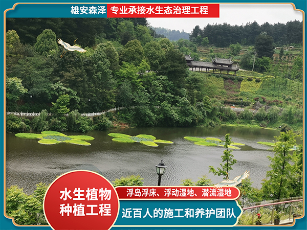 景区湖泊浮岛浮床工程案例