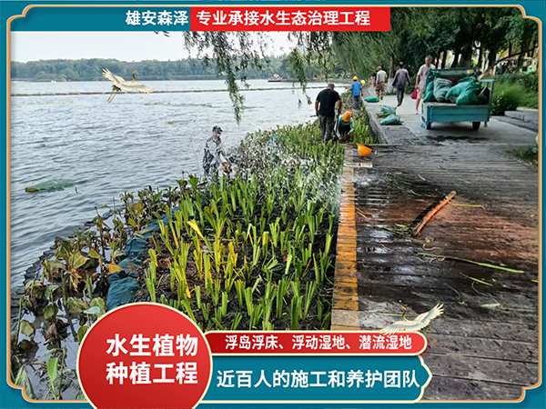 浮动湿地（高分子聚酯纤维浮动湿地）