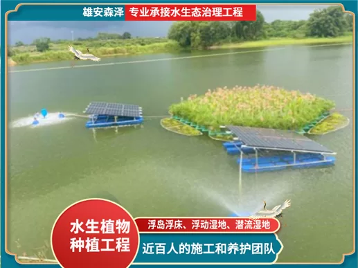 浮岛+曝气机效果