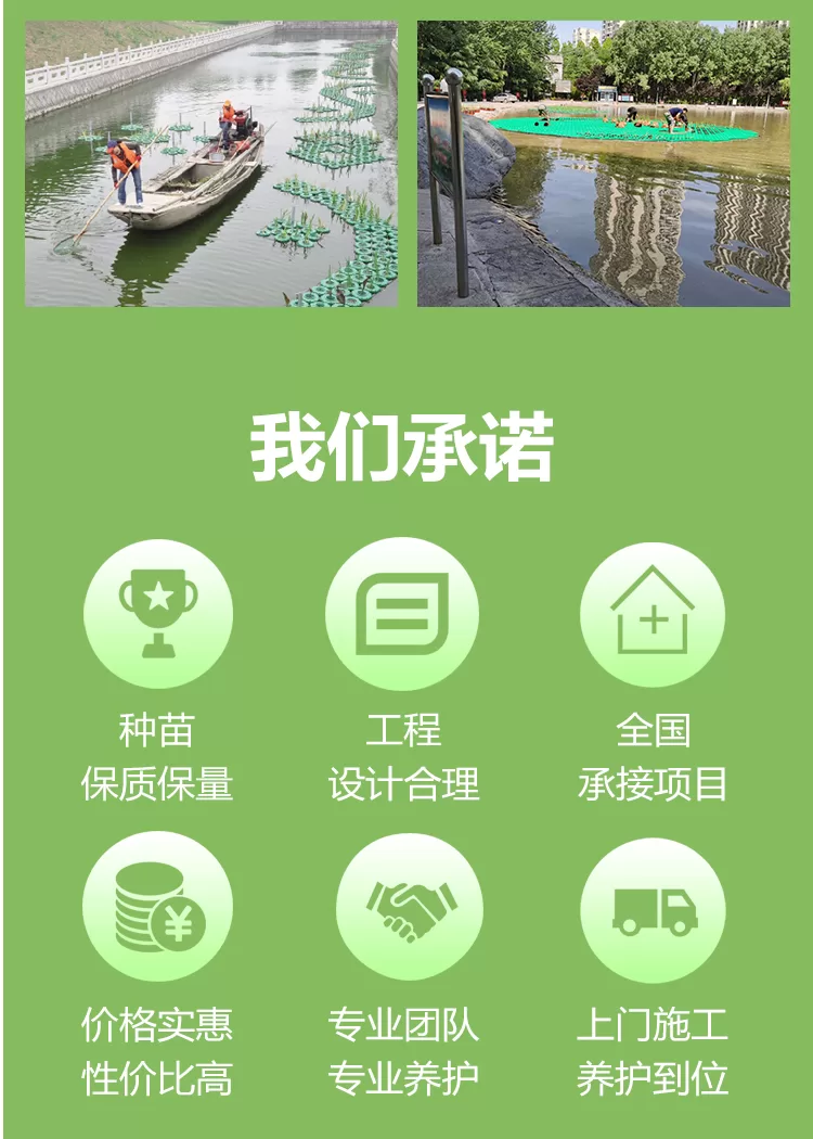 浮岛浮床+浮动湿地+潜流湿地+挺水植物+浮水植物相关插入详情图_08.png